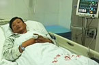 ʹH7N9ϪvL{