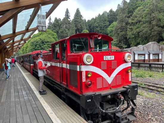   5月11日拍摄的阿里山小火车（手机照片）。新华社记者 齐菲 摄