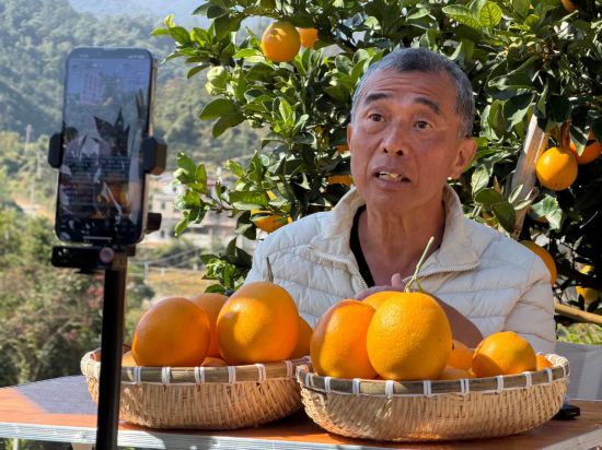 王文瑞在江西贛州直播推介贛南臍橙。新華社記者 陳柱佐 攝