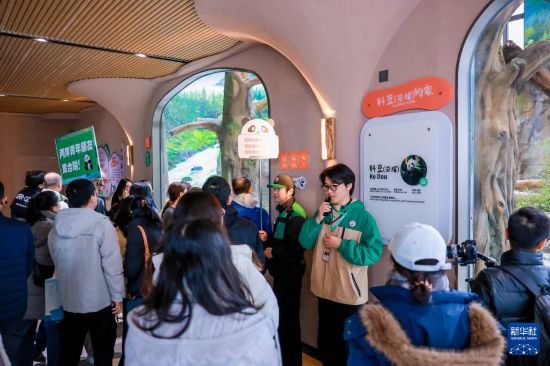 两岸青年在福州熊猫世界参观大熊猫“荣耀”（1月27日摄）。新华社发（共青团福州市委供图）