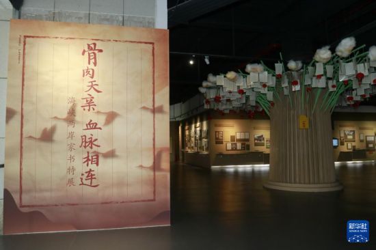 这是中国闽台缘博物馆举办的《骨肉天亲 血脉相连——海峡两岸家书特展》。新华社发（中国闽台缘博物馆供图）