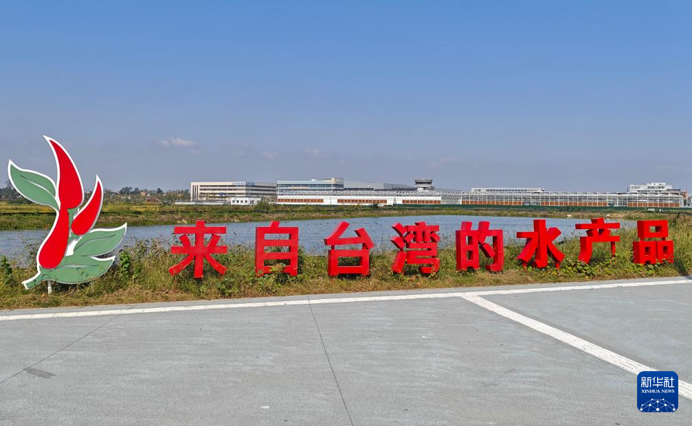 10月22日拍摄的安徽庐江台湾农民创业园一景。新华社记者 郭晨 摄
